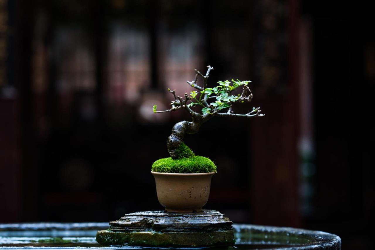 فندق Xiamen Lanqin Gucuo Mansion المظهر الخارجي الصورة
